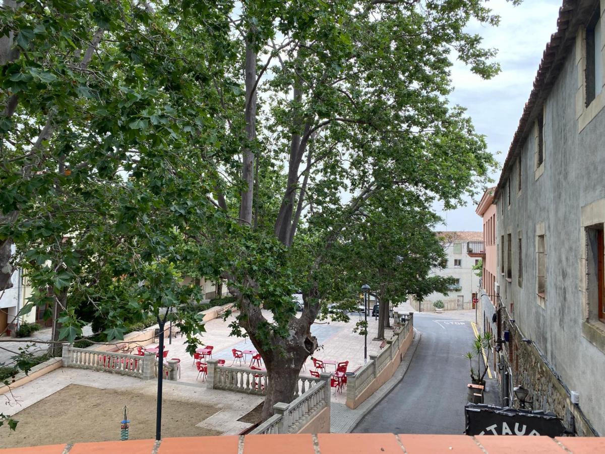 Rural Cal Amadeu